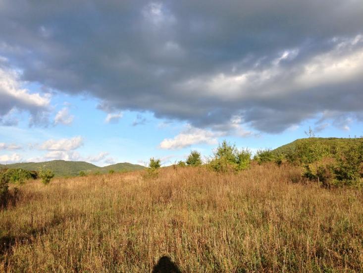 Гончарне з panoramio.com - Гончарное