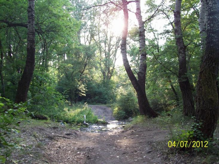 Гаївське з panoramio.com - Гаївське