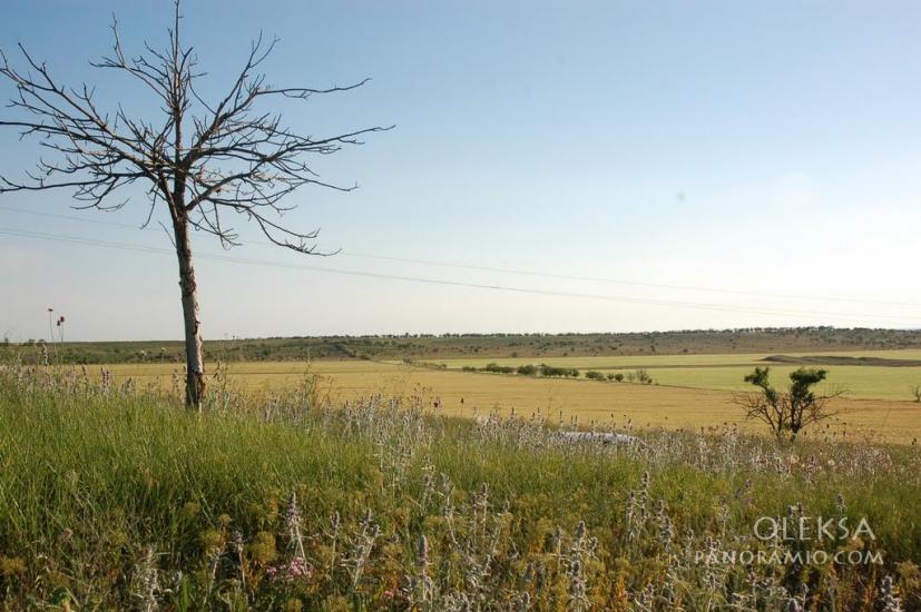 Віліне з panoramio.com - Viline