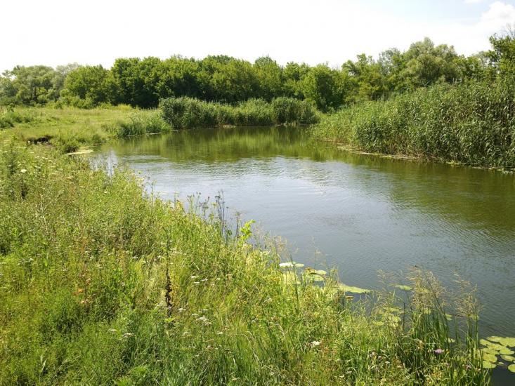 Клугино-Башкирівка з panoramio.com - Клугино-Башкировка