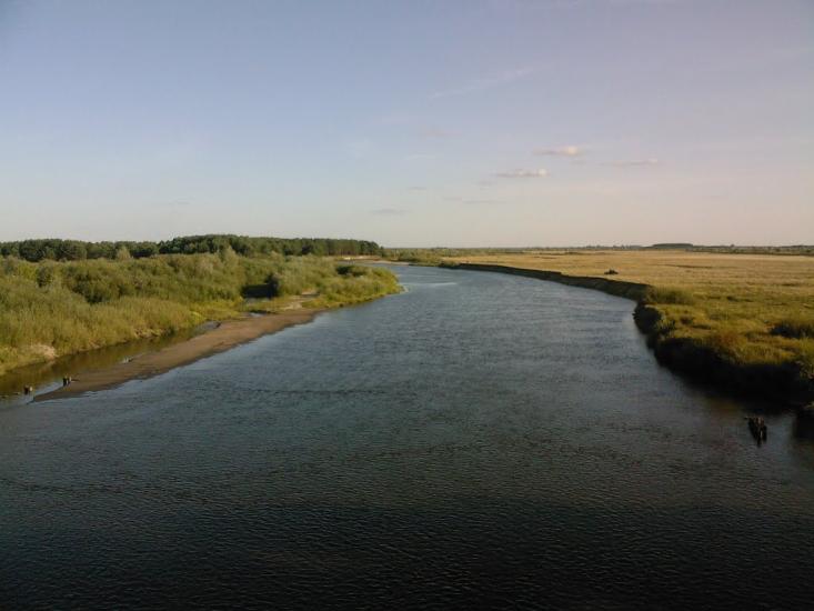 Сарни з panoramio.com - Сарни