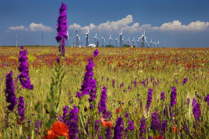 Воробйове з panoramio.com - Воробьево