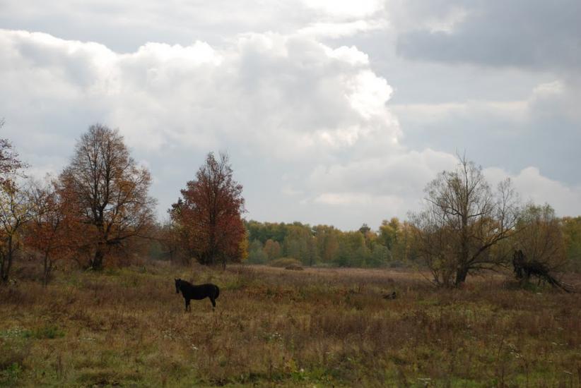 Остапівка з panoramio.com - Остаповка