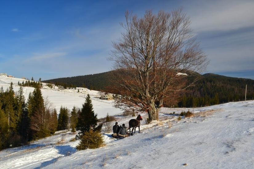 Вороненко з panoramio.com - Вороненко