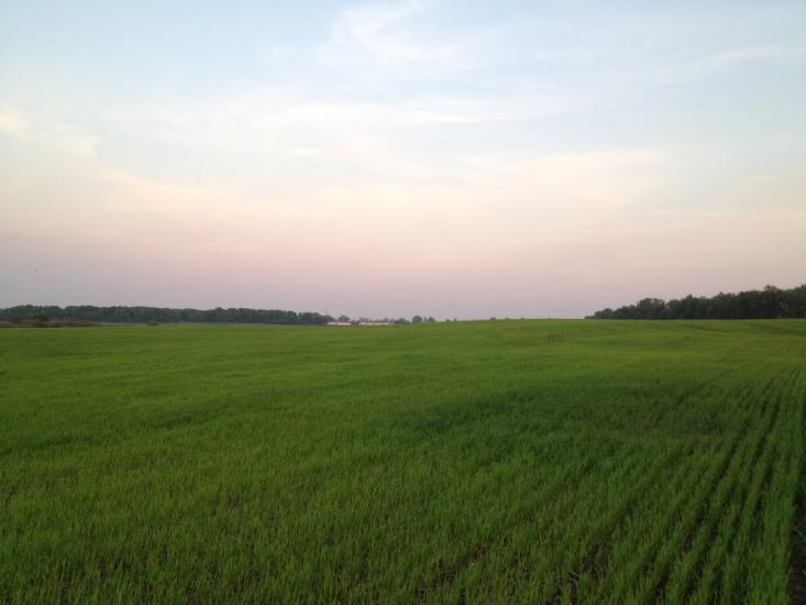 Товкачівка з panoramio.com - Товкачівка