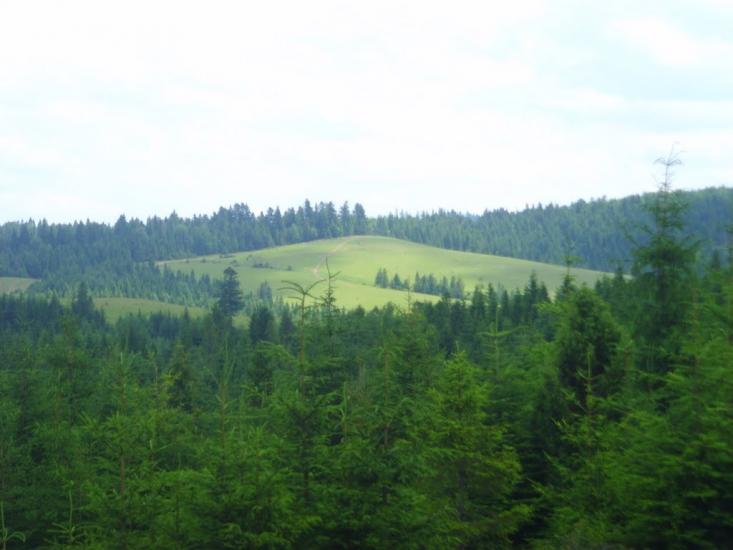 Шандровець з panoramio.com - Шандровец