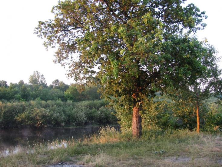 Снов'янка з panoramio.com - Снов'янка