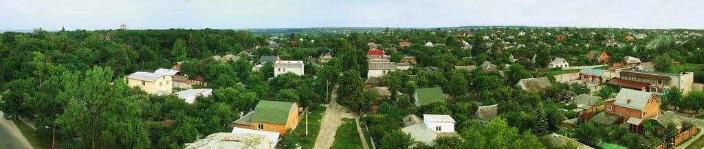 Покотилівка з panoramio.com - Покотилівка