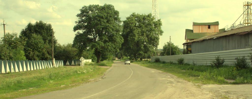 Дмитрівка з panoramio.com - Дмитровка