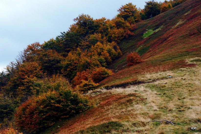 Сопки з panoramio.com - Сопки