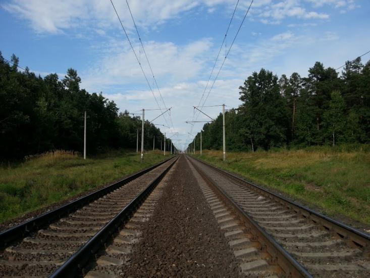 Княжичі з panoramio.com - Княжичи