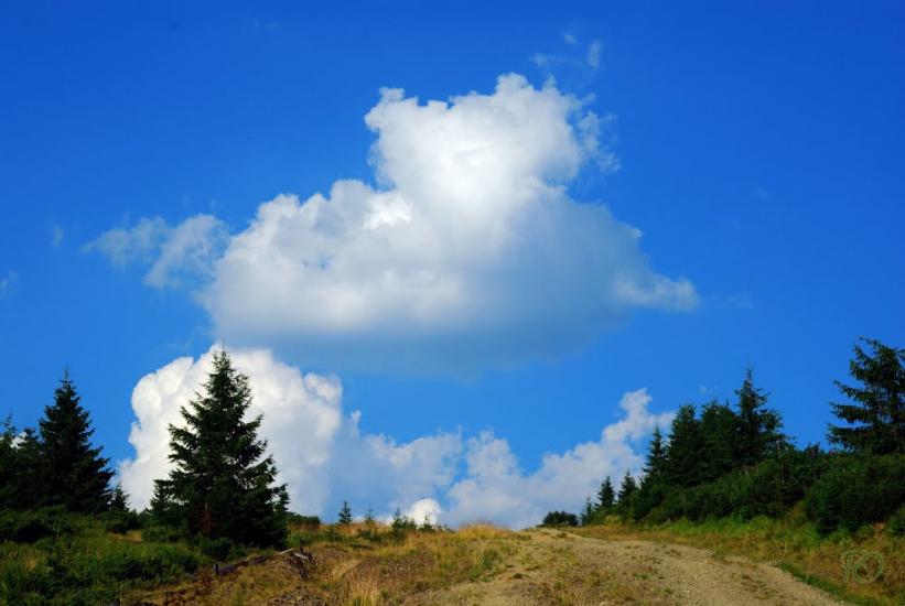 Бребоя з panoramio.com - Бребоя