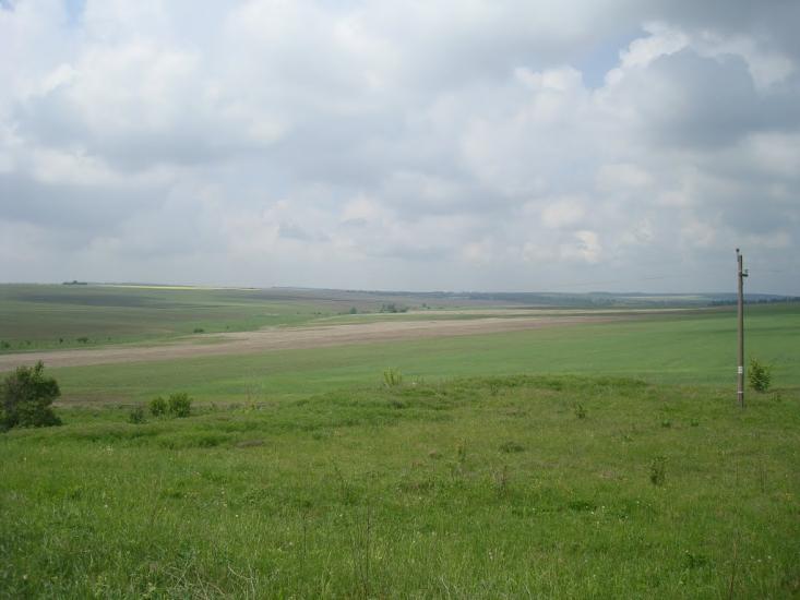 Зеленче з panoramio.com - Зеленче