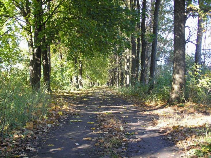 Газове з panoramio.com - Газовое