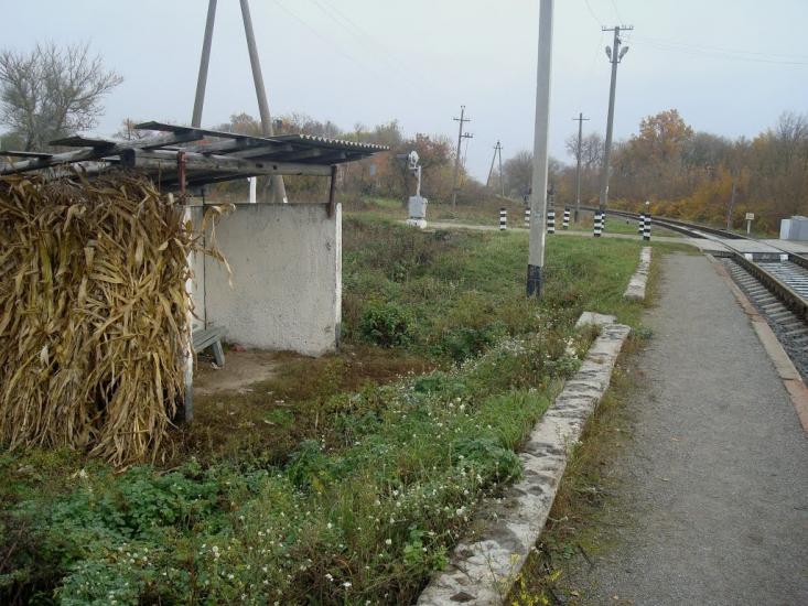 Вільхівці з panoramio.com - Ольховцы