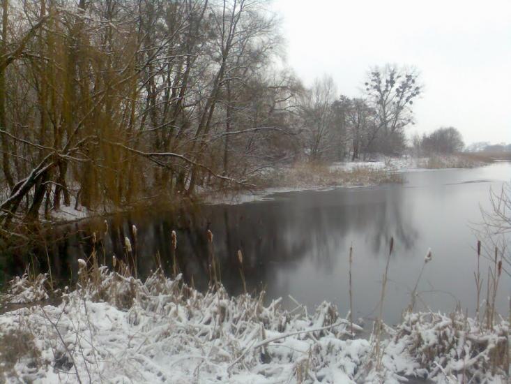 Радивилів з panoramio.com - Радивилов