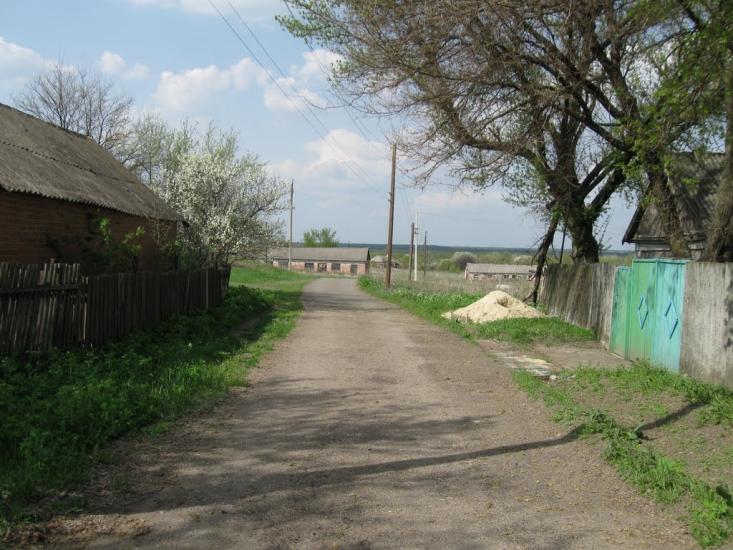Пискунівка з panoramio.com - Pyskunivka