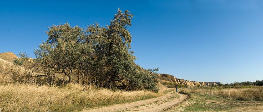 Роксолани з panoramio.com - Роксоланы