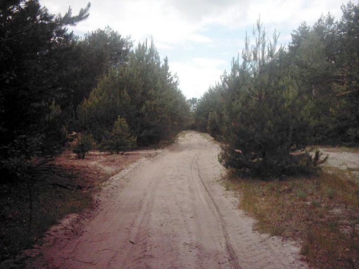 Лисняки з panoramio.com - Лисняки