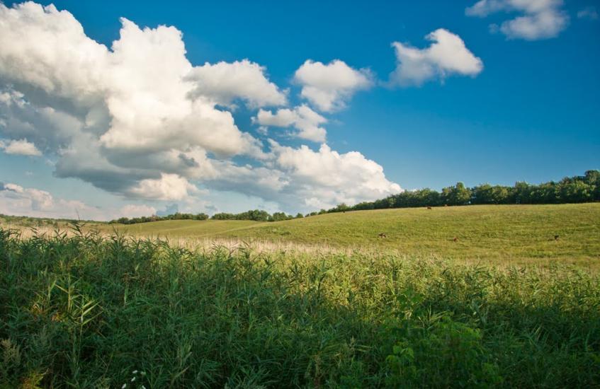 Созонівка з panoramio.com - Созоновка