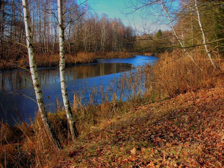 Свидівок з panoramio.com - Svydivok