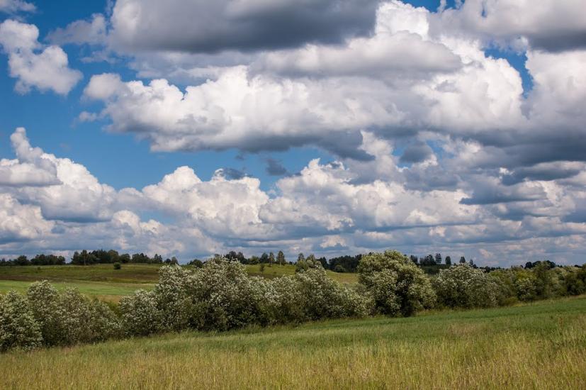 Більчаки з panoramio.com - Більчаки