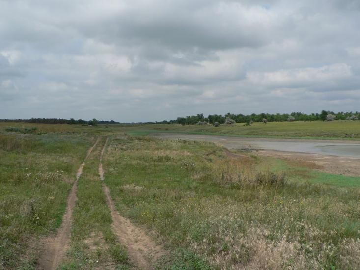 Баштанка з panoramio.com - Bashtanka
