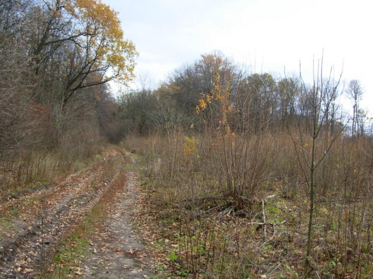 Старий Мерчик з panoramio.com - Старий Мерчик