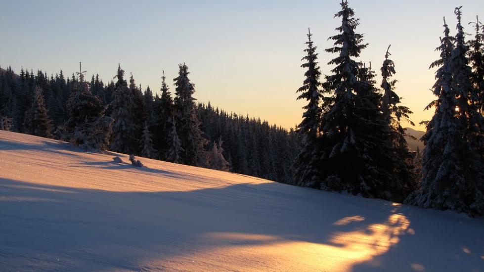 Бистриця з panoramio.com - Бистриця