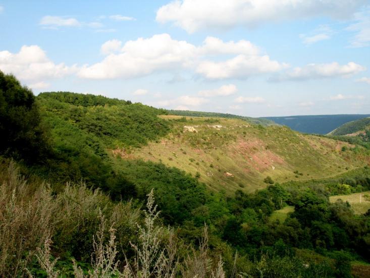 Стрільче з panoramio.com - Strilche