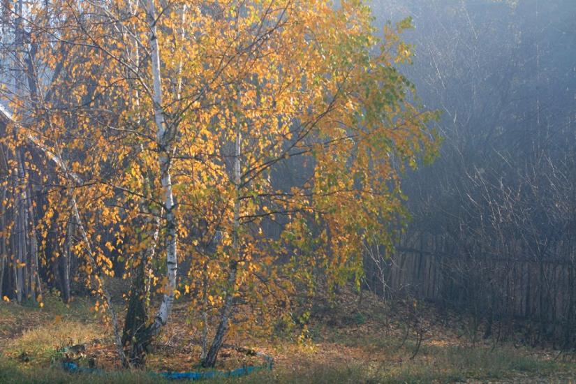 Гута-Межигірська з panoramio.com - Гута-Межигорская