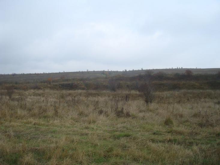 Вільхівчик з panoramio.com - Ольховчик