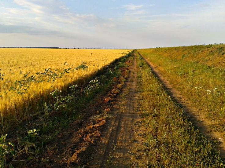 Чорнобаївка з panoramio.com - Чернобаевка