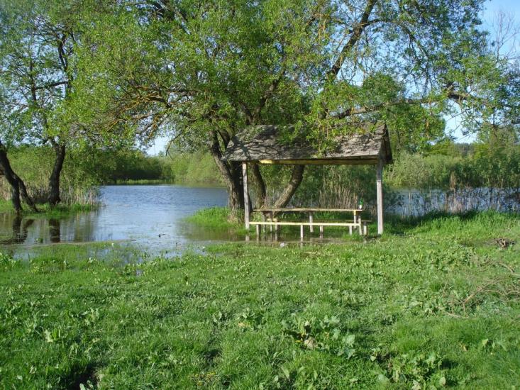 Куликовичі з panoramio.com - Куликовичі