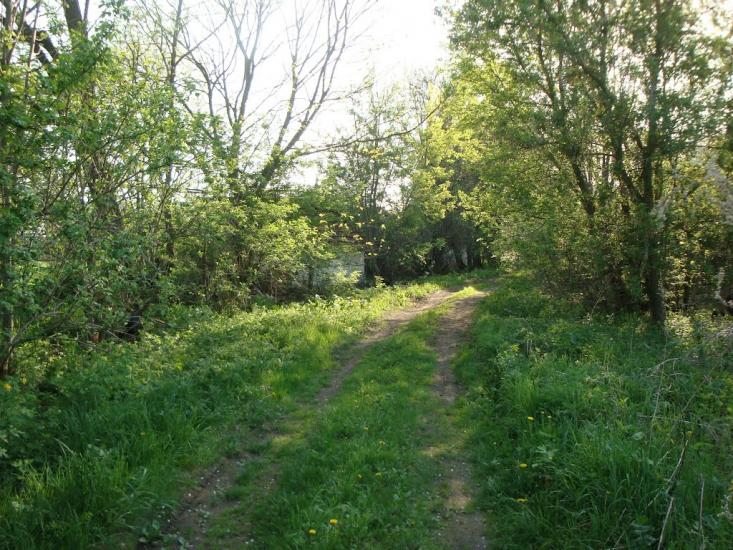 Дацьки з panoramio.com - Datsky