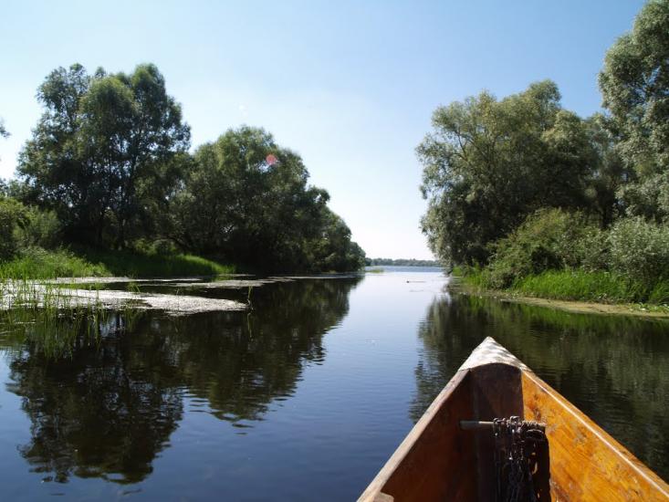 Хрещатик з panoramio.com - Крещатик