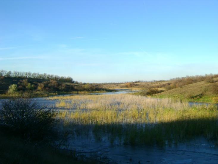 Придніпрянське з panoramio.com - Придніпрянське