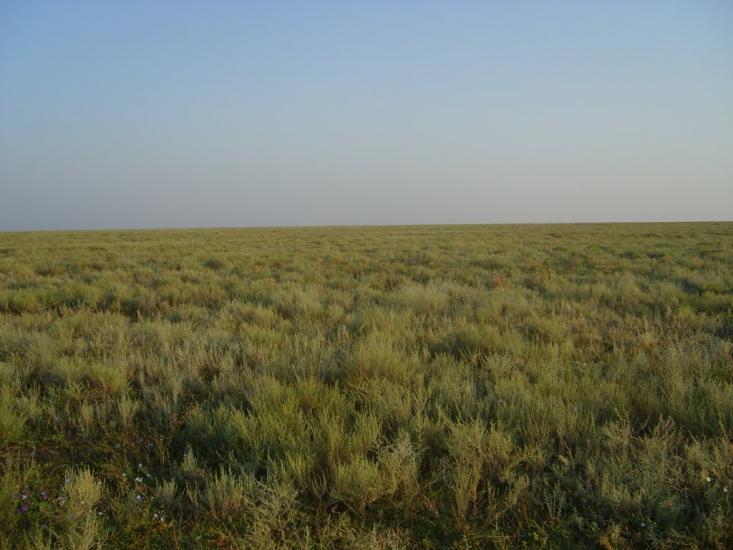 Хорли з panoramio.com - Хорлы