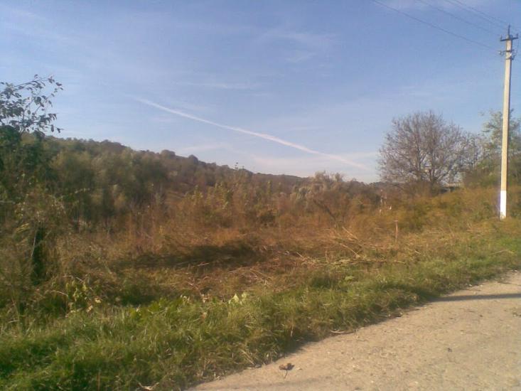 Лисогірка з panoramio.com - Лысогорка