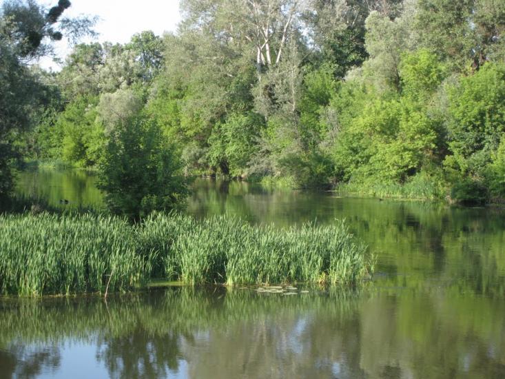 Синичине з panoramio.com - Synychyne