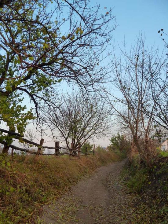 Фесюри з panoramio.com - Фесюри