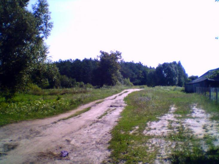 Облапи з panoramio.com - Oblapy