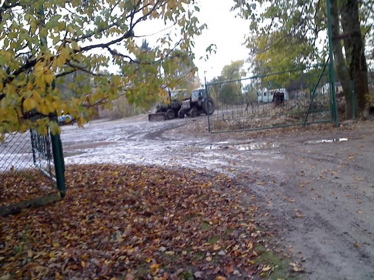 Великі Бірки з panoramio.com - Великие Борки