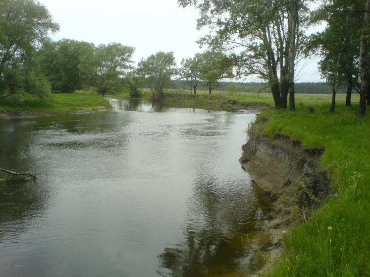 Морозівка з panoramio.com - Morozivka