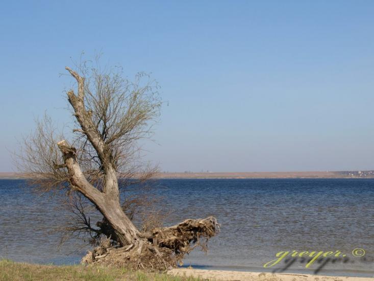 Малокаховка з panoramio.com - Малокаховка