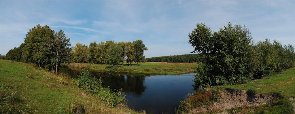 Залиман з panoramio.com - Залиман
