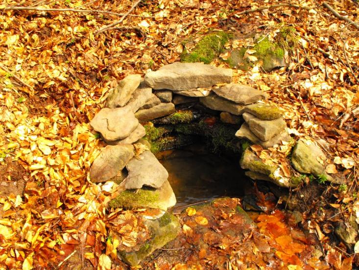 Забрідь з panoramio.com - Забрідь
