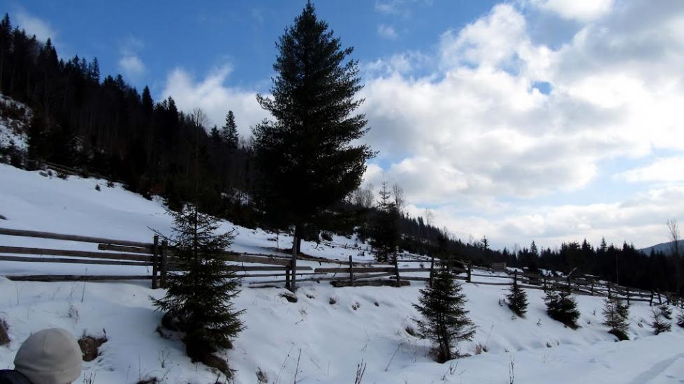 Згари з panoramio.com - Згары