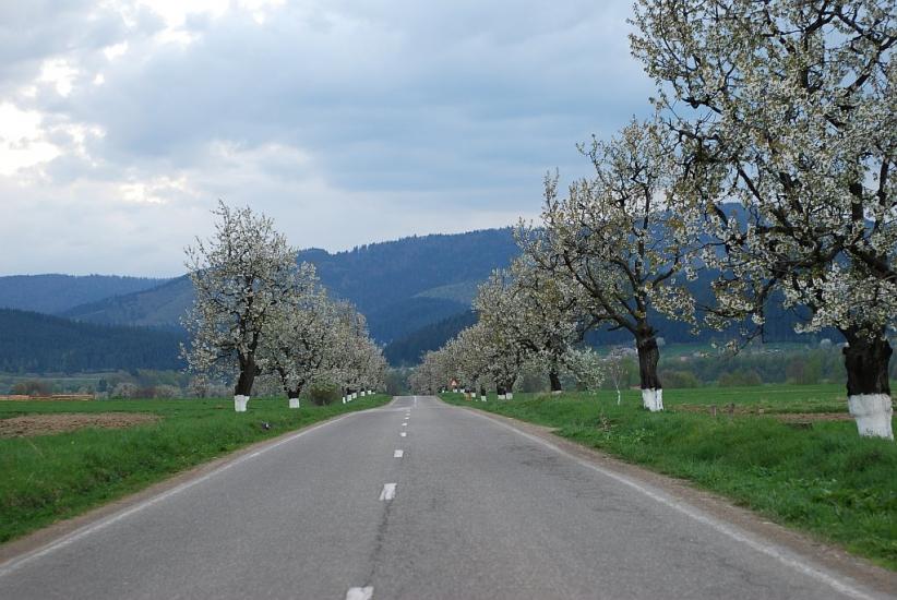 Аршиця з panoramio.com - Arshytsya
