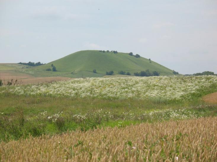 Пуків з panoramio.com - Pukiv